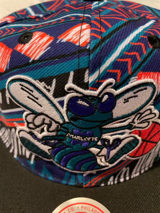 Charlotte hornets hat