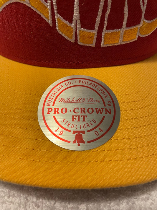 Atlanta Hawks Hat