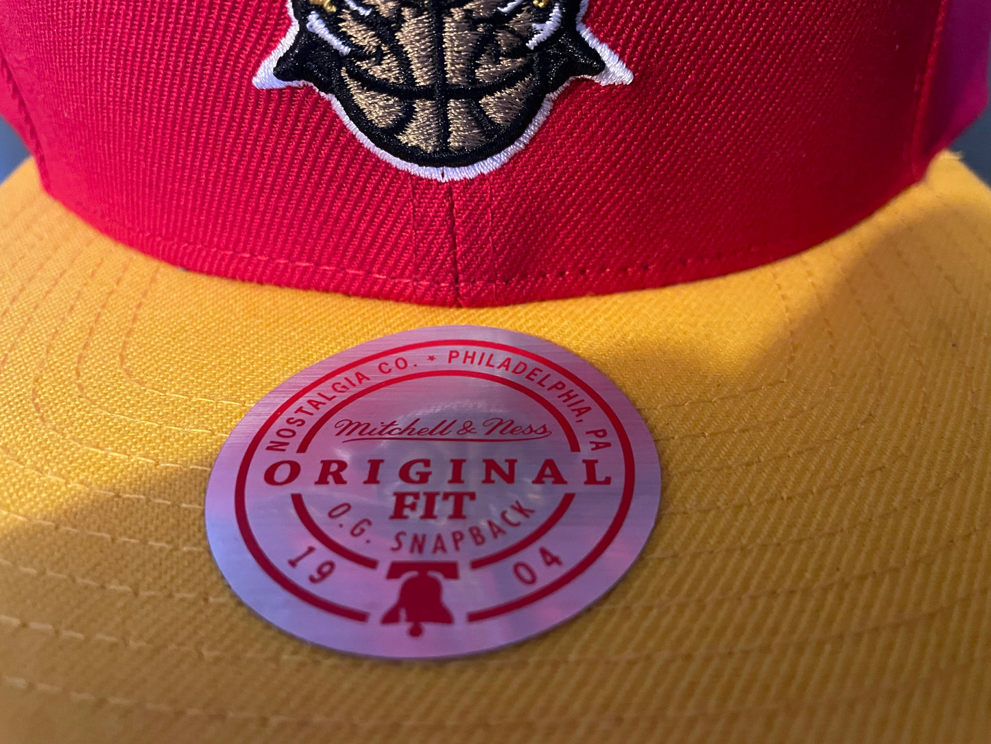 Atlanta hawks hat