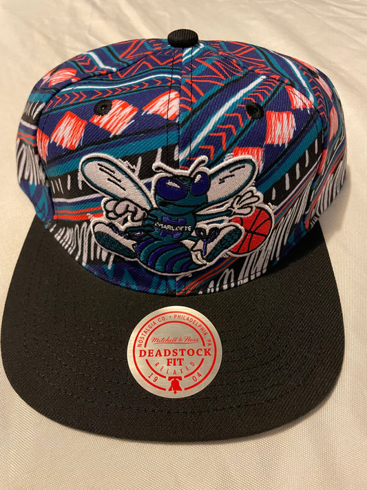 Charlotte hornets hat